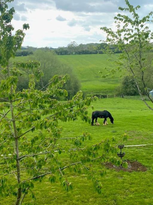 Вілла Field View Braunston  Екстер'єр фото